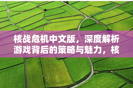 核战危机中文版，深度解析游戏背后的策略与魅力，核战危机中文版，策略与魅力的深度剖析