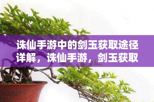 诛仙手游中的剑玉获取途径详解,诛仙手游,剑玉获取途径全解析 诛仙手游中的剑玉获取途径详解,诛仙手游,剑玉获取途径全解析