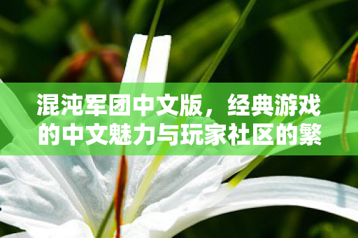 经典游戏的中文魅力与玩家社区的繁荣图片