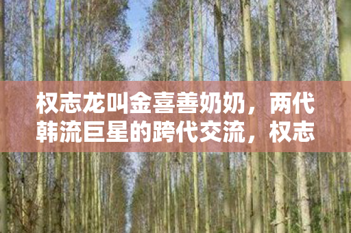 两代韩流巨星的跨代交流图片