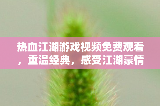 热血江湖游戏视频免费观看图片