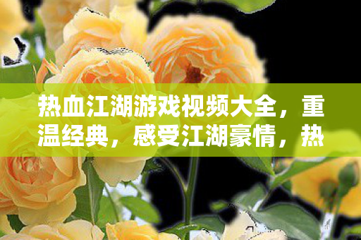 热血江湖游戏视频大全图片