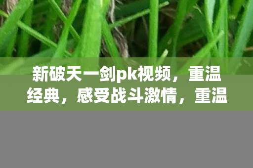 新破天一剑PK视频燃爆激情图片