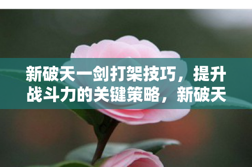 提升战斗力的关键策略图片