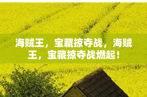 宝藏掠夺战燃起图片