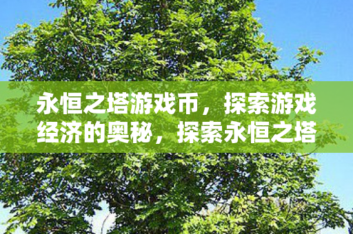 探索永恒之塔游戏币的经济奥秘图片