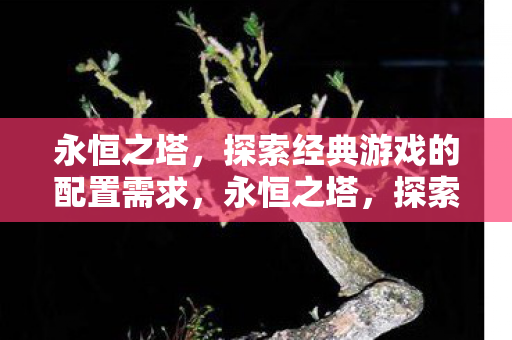 探索经典游戏的配置需求图片