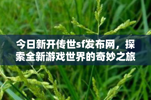探索全新游戏世界的奇妙之旅图片