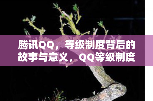 腾讯QQ,等级制度背后的故事与意义,QQ等级制度背后的故事与意义解析 腾讯QQ,等级制度背后的故事与意义,QQ等级制度背后的故事与意义解析