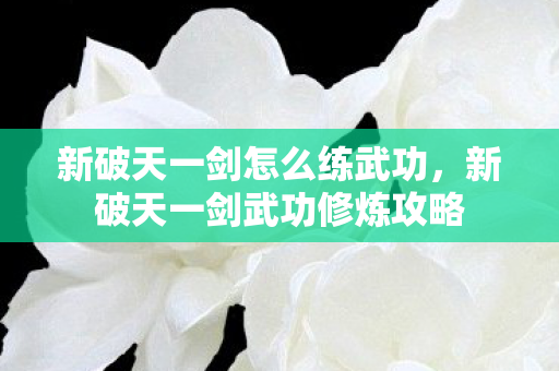 新破天一剑武功修炼攻略图片