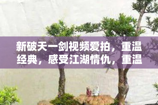 新破天一剑视频爱拍图片