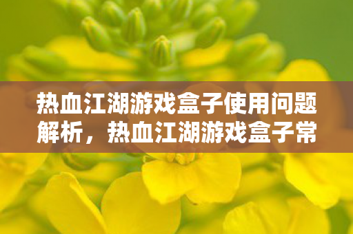 热血江湖游戏盒子使用问题解析，热血江湖游戏盒子常见问题解析
