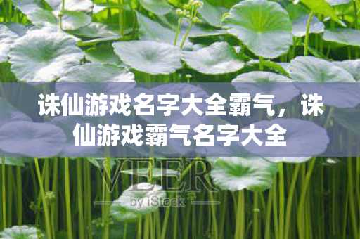 诛仙游戏名字大全霸气图片