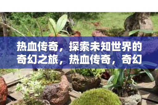 探索未知世界的奇幻之旅图片