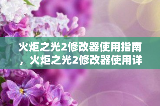 火炬之光2修改器使用指南,火炬之光2修改器使用详解 火炬之光2修改器使用指南,火炬之光2修改器使用详解