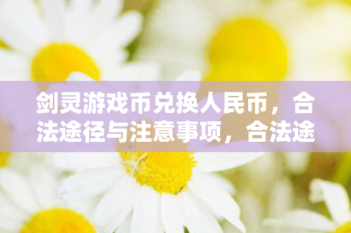 兑换剑灵游戏币为人民币图片