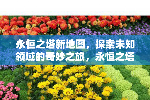 探索未知领域的奇妙之旅图片
