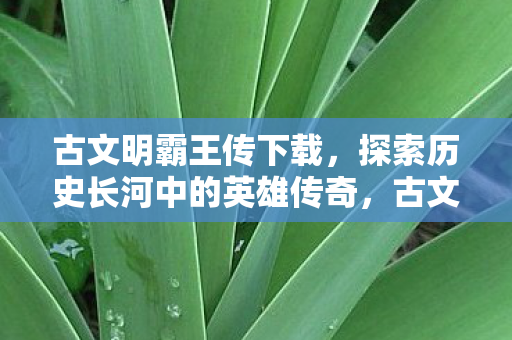 古文明霸王传下载，探索历史长河中的英雄传奇，古文明霸王传，探索历史长河中的英雄传奇下载