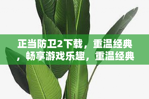 正当防卫2下载,重温经典,畅享游戏乐趣,重温经典,正当防卫2免费下载,畅享游戏乐趣 正当防卫2下载,重温经典,畅享游戏乐趣,重温经典,正当防卫2免费下载,畅享游戏乐趣