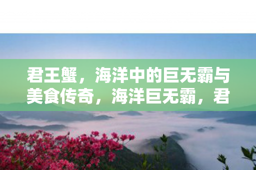 君王蟹,海洋中的巨无霸与美食传奇,海洋巨无霸,君王蟹的美食传奇 君王蟹,海洋中的巨无霸与美食传奇,海洋巨无霸,君王蟹的美食传奇