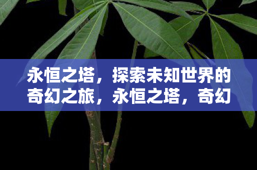 探索未知世界的奇幻之旅图片