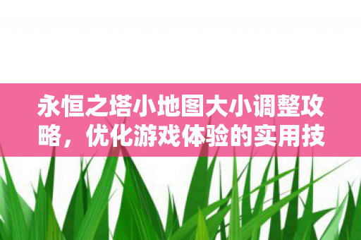 永恒之塔小地图大小调整攻略图片