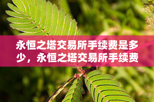 永恒之塔交易所手续费是多少,永恒之塔交易所手续费详解 永恒之塔交易所手续费是多少,永恒之塔交易所手续费详解