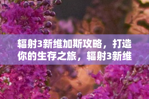 辐射3新维加斯攻略,打造你的生存之旅,辐射3新维加斯生存之旅攻略 辐射3新维加斯攻略,打造你的生存之旅,辐射3新维加斯生存之旅攻略