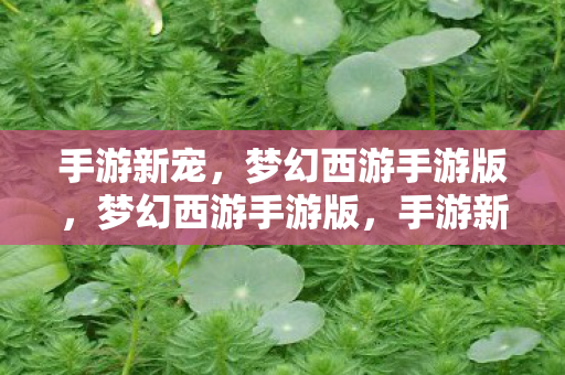 手游新宠,梦幻西游手游版,梦幻西游手游版,手游新宠来袭 手游新宠,梦幻西游手游版,梦幻西游手游版,手游新宠来袭