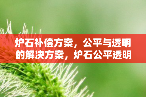 炉石补偿方案，公平与透明的解决方案，炉石公平透明补偿方案出炉