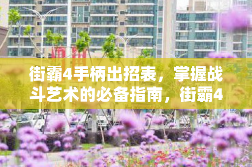 街霸4手柄出招表，掌握战斗艺术的必备指南，街霸4手柄出招表，掌握战斗艺术的必备指南