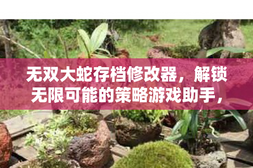 无双大蛇存档修改器,解锁无限可能的策略游戏助手,解锁策略无限可能,无双大蛇存档修改器 无双大蛇存档修改器,解锁无限可能的策略游戏助手,解锁策略无限可能,无双大蛇存档修改器