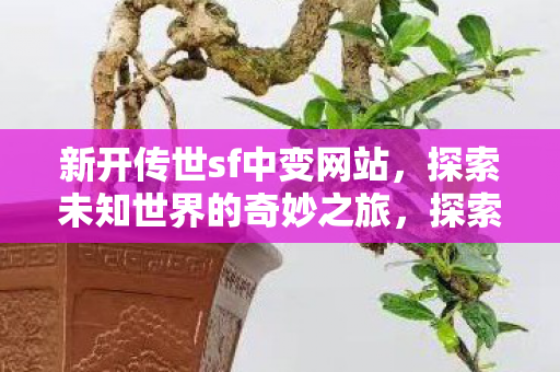 探索未知世界的奇妙之旅图片