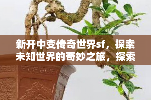 探索新开中变传奇世界sf的奇妙之旅图片