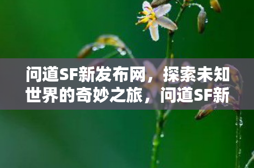 探索未知世界的奇妙之旅图片