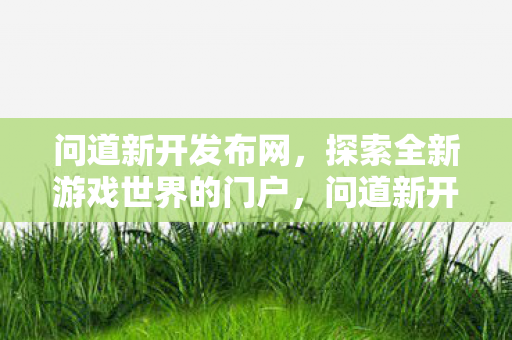 探索全新游戏世界的门户图片