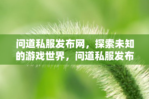 探索未知的游戏世界图片