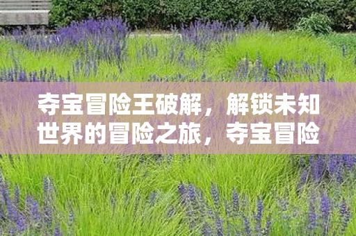夺宝冒险王破解,解锁未知世界的冒险之旅,夺宝冒险王破解版,解锁未知世界的冒险之旅 夺宝冒险王破解,解锁未知世界的冒险之旅,夺宝冒险王破解版,解锁未知世界的冒险之旅