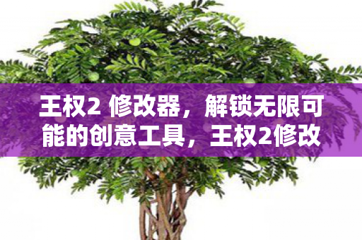 王权2 修改器,解锁无限可能的创意工具,王权2修改器,解锁无限创意的神奇工具 王权2 修改器,解锁无限可能的创意工具,王权2修改器,解锁无限创意的神奇工具