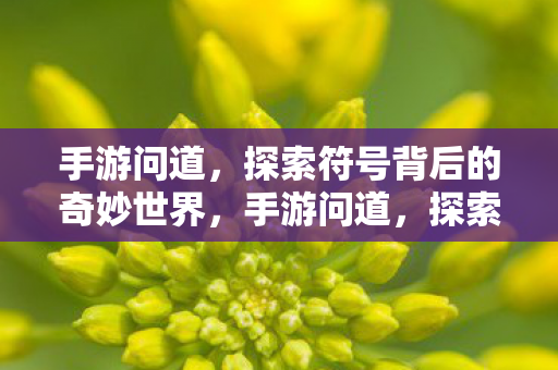 探索符号背后的奇妙世界图片