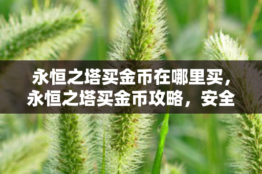 永恒之塔买金币在哪里买，永恒之塔买金币攻略，安全、高效、便捷购买指南
