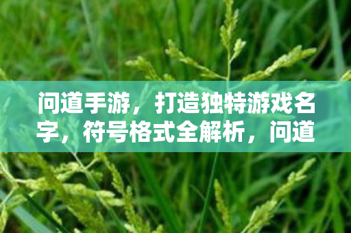 打造独特游戏名字图片