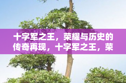 十字军之王，荣耀与历史的传奇再现，十字军之王，荣耀与历史的传奇再现