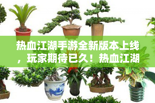 热血江湖手游全新版本上线图片