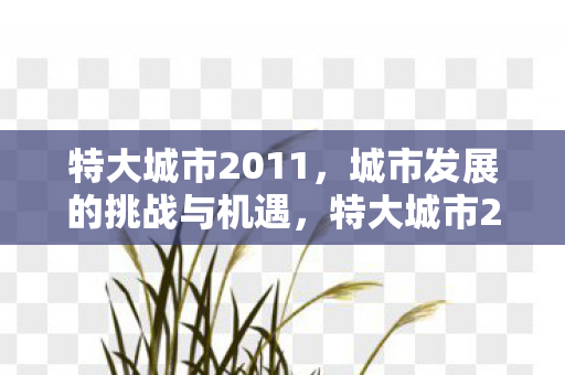 特大城市2011,城市发展的挑战与机遇,特大城市2011,挑战与机遇并存的城市发展之路 特大城市2011,城市发展的挑战与机遇,特大城市2011,挑战与机遇并存的城市发展之路