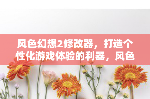 风色幻想2修改器，打造个性化游戏体验的利器，风色幻想2修改器，打造个性化游戏体验的必备工具