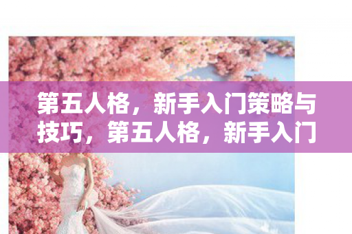 第五人格,新手入门策略与技巧,第五人格,新手入门策略与技巧全解析 第五人格,新手入门策略与技巧,第五人格,新手入门策略与技巧全解析