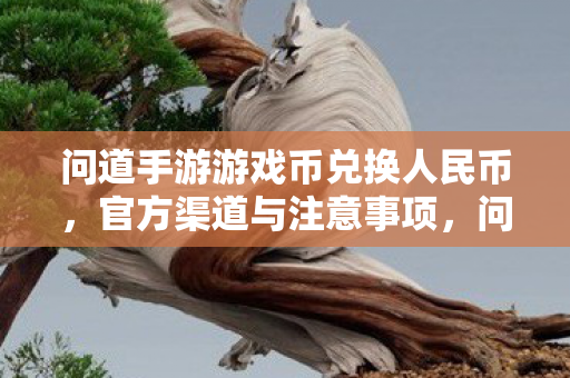 问道手游游戏币兑换人民币官方渠道及注意事项图片