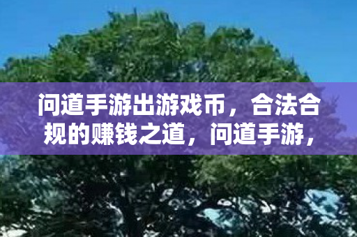 合法合规的赚钱之道图片