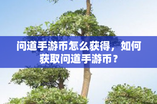 问道手游币怎么获得图片